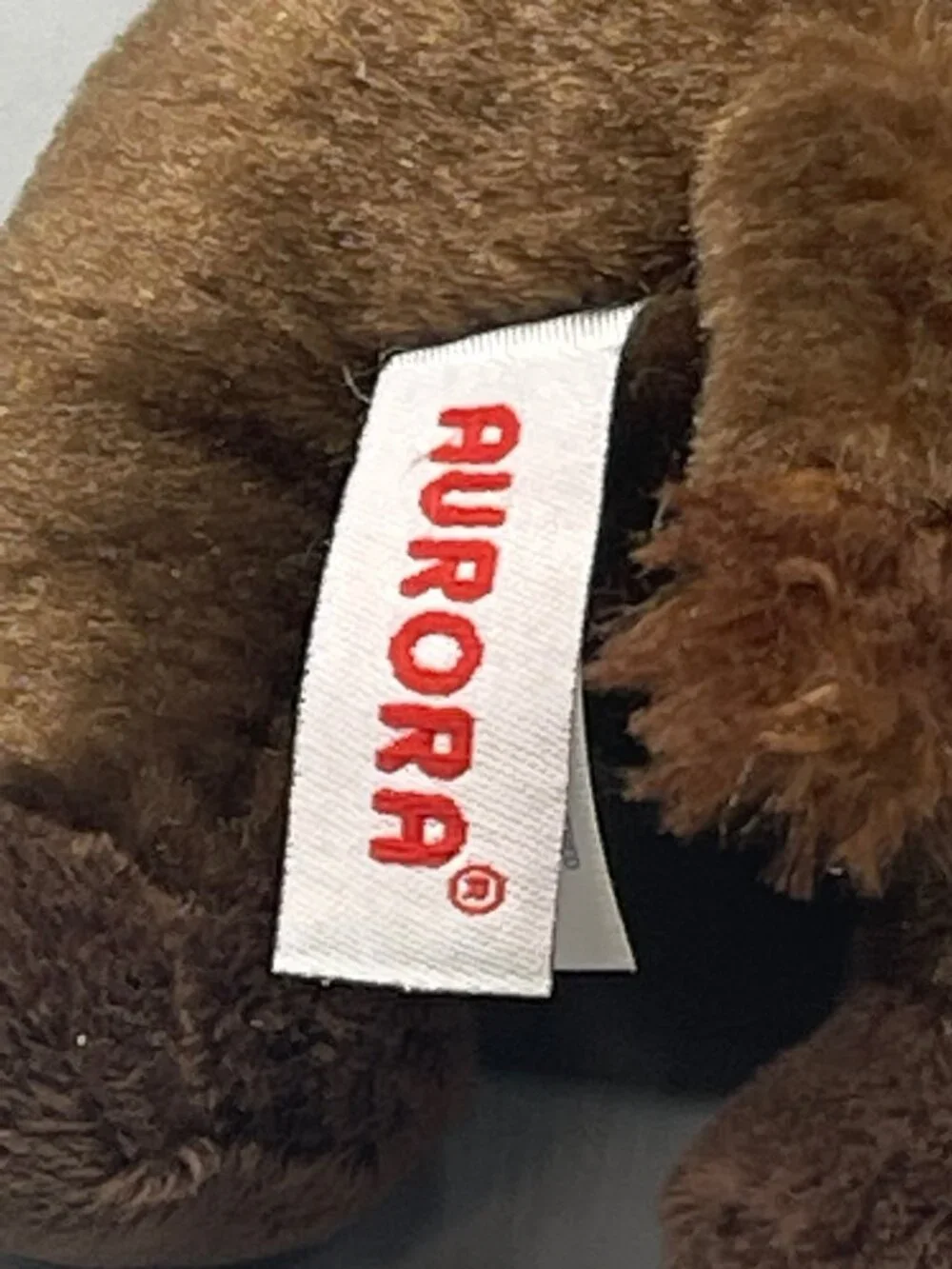 Aurora bring home